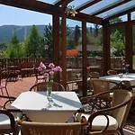 Arnika 3*